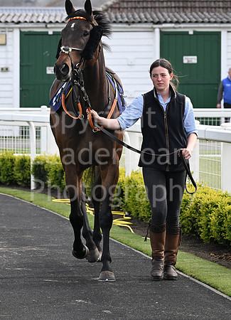 Gt_Yarm_May_4th_2024-1