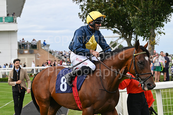 Gt_Yarm_25_Aug_Family_Raceday_2024-195