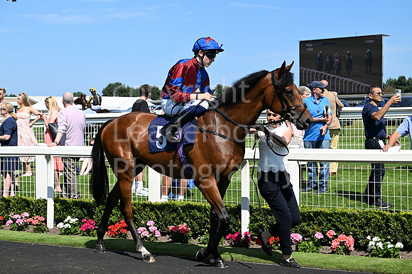 Gt_Yarm_July_30_2024-98