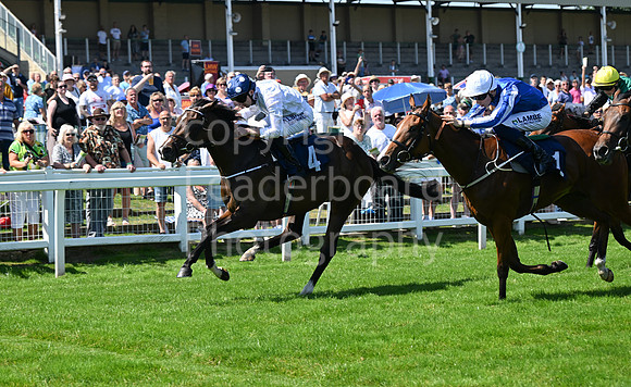 Gt_Yarm_July_30_2024-73
