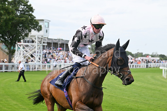 Gt_Yarm_Residents_Day_June_27-146