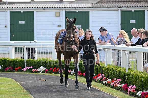 Gt_Yarm_Aug_8_2024-76