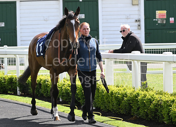 Gt_Yarm_May_22_2024-52