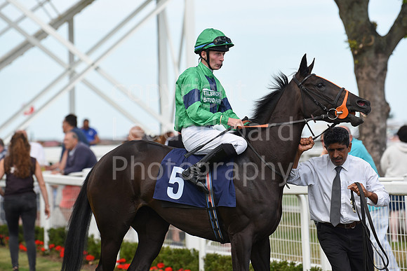 Gt_Yarm_4 Aug_2022-6