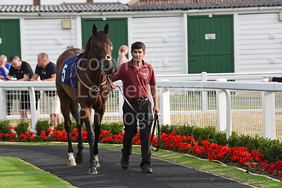 Gt_Yarm_3_Aug_2022-82