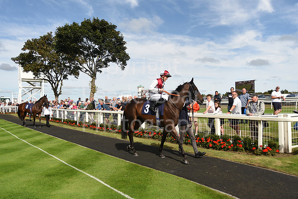 Gt_Yarm_Races_13_Sept8-31
