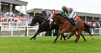 Yarm_Races_17July-11