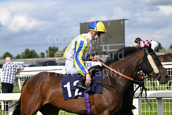 Gt_Yarm_Racing_July_10_-255