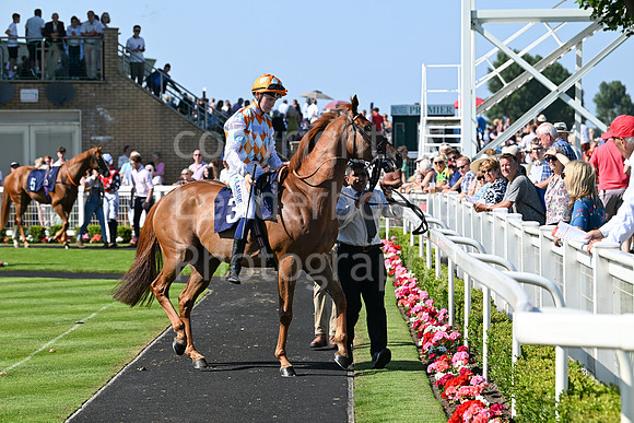 Gt_Yarm_July_30_2024-222