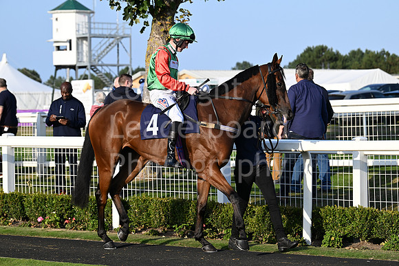 Gt_Yarm_Eastern_Fest_18_Sept_2024-277