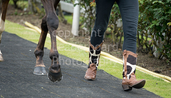 LB_Yarouth_races_2016_0348