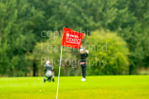 LBP_PIng_Mixed_2024-26-2
