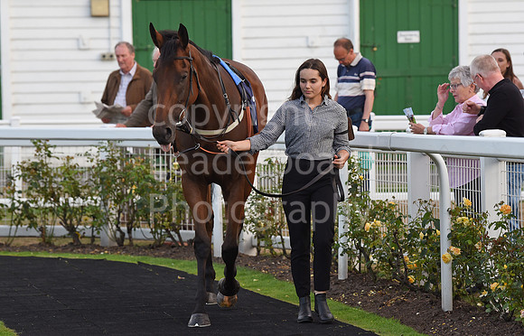 110_GY_Racing_7_Aug