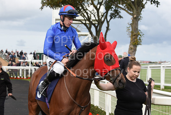 Gt_Yarm_25th_Sept_2022-5