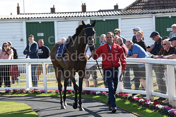 Gt_Yarm_Eastern_Fest_Day_2-142