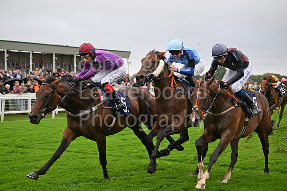 Gt_Yarm_Ladies Night_2025-106