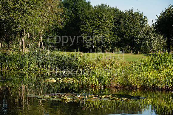 NB_McGregor_Trophy_2014