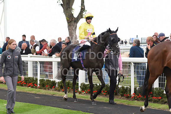 Gt_Yarm_15_Sept_2022-192