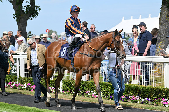 Gt_Yarm_Residents_Day_June_27-45