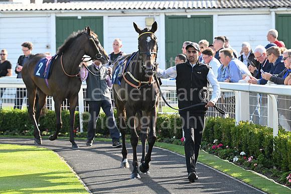 Gt_Yarm_Eastern_Fest_18_Sept_2024-124