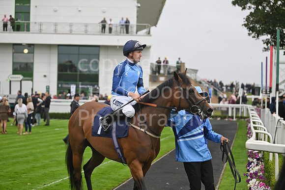 Gt_Yarm_Ladies Night_2025-60