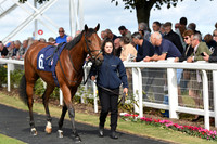 Gt_Yarm_Eastern_Fest_Day_2-6