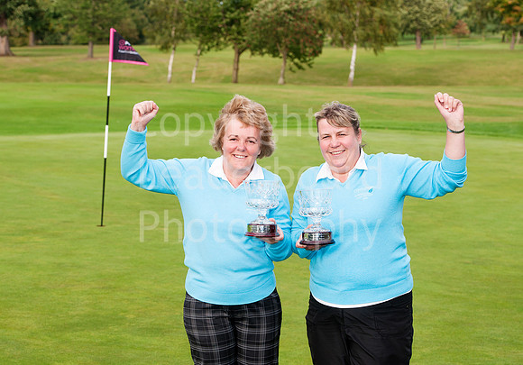 NB_PING_PLATE_WINNERS.