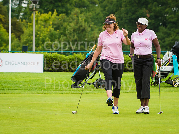 LB_Ping_Plate_2017_1048