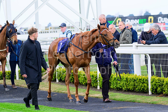 NZ9_3794