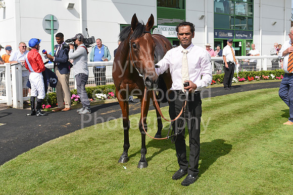 Gt_Yarm_Aug_8_2024_Groom-2