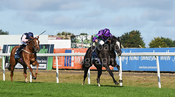 Gt_Yarm_Eastern_Fest_Day_2-96