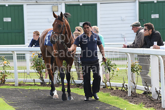 Gt_Yarm_Races_24_Aug_2021-65