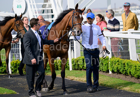 NZ9_5379