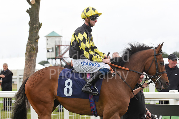 Gt_Yarm_30_June_2022-41
