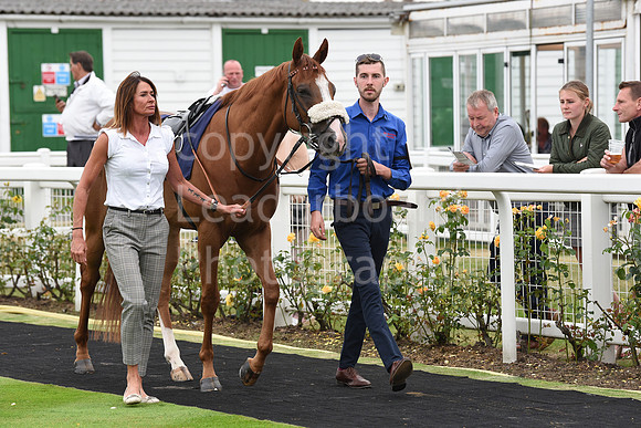Yarm_Races_17July-33
