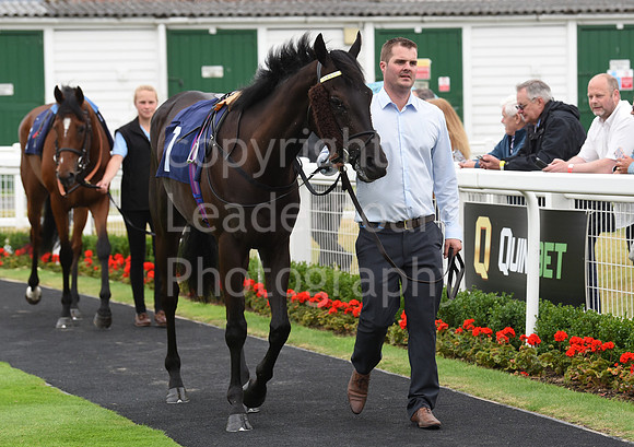 Gt_Yarm_30_June_2022-26
