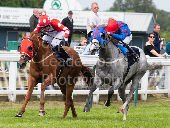 LB_GYR_140618_0061
