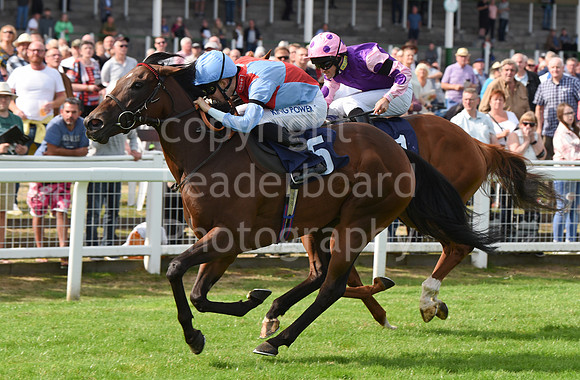 Gt_Yarm_14_Sept_2022-25