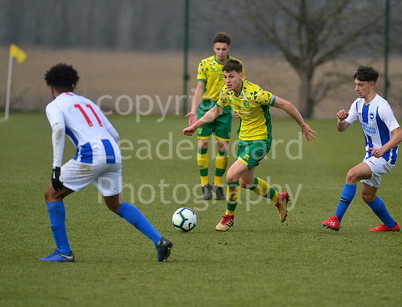 NB_039_NCFC_U18_Brighton