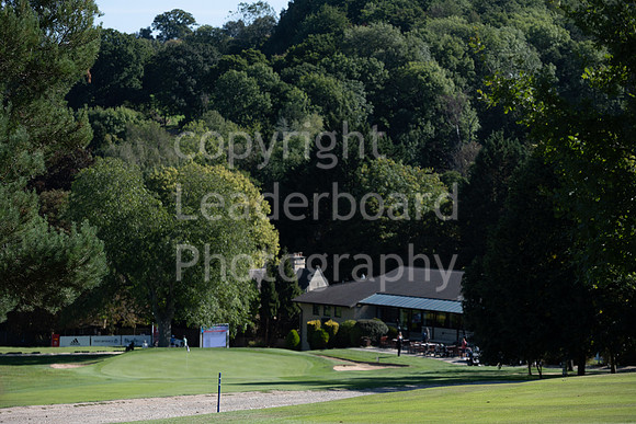 NZ7_9648