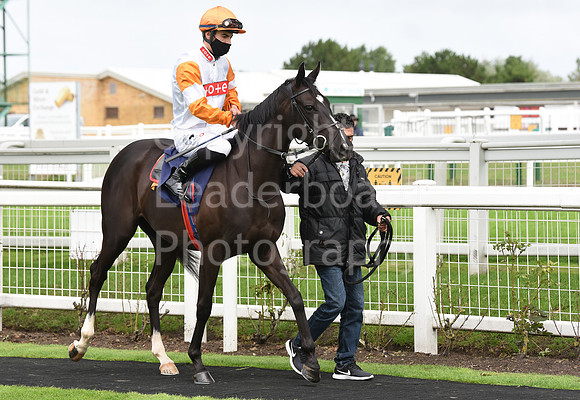 Gt_Yarmouth_Races_230Aug-16