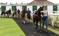 01_GY_8_Aug_Pony_Racing