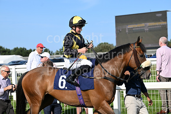 Gt_Yarm_July_30_2024-256