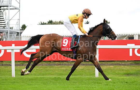 Gt_Yarm_July25_Racing_League_2024-46