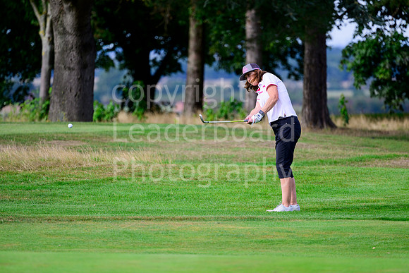 NB_077_Ping_4BBB_Final