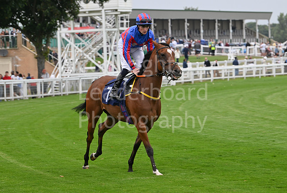 Gt_Yarm_19_Aug_Evening_Race-145