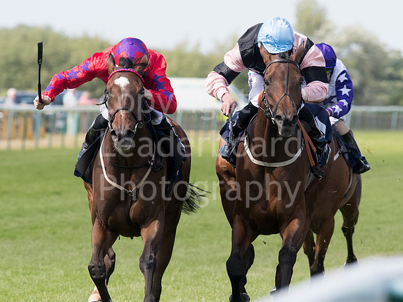 LB_GYR_140618_0330