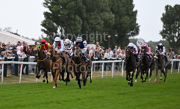 Gt_Yarm_24_Aug_2025-224