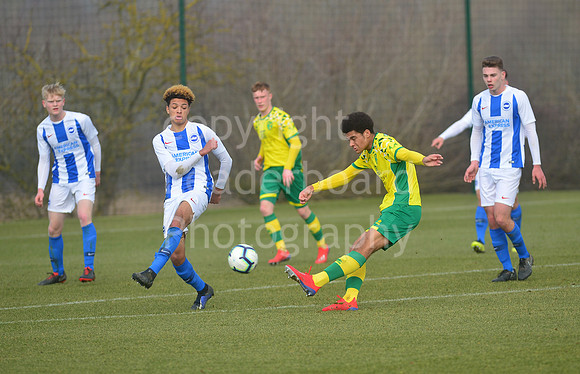 NB_026_NCFC_U18_Brighton