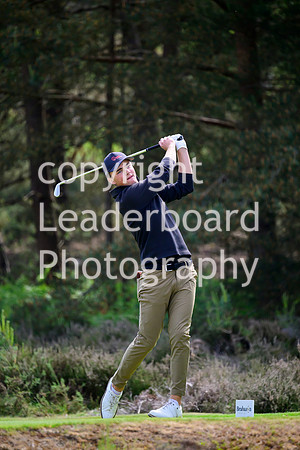 NZ9_5323